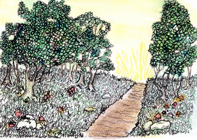 A path into the woods…Watercolor and ink