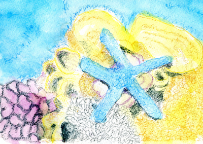 Starfish drawing