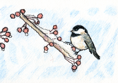 Chickadee in snow