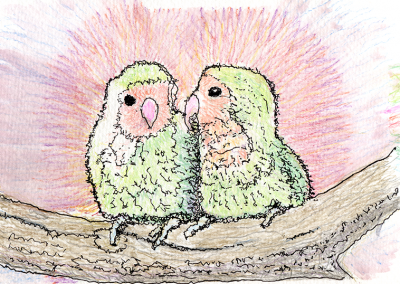 Lovebirds