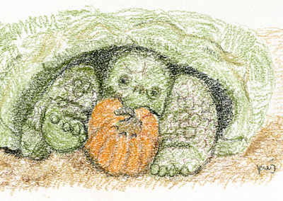 Pastel drawing: grandma tortoise