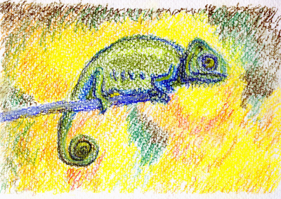 Chameleon
