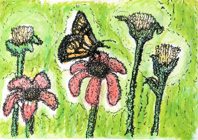 Butterfly and flowers