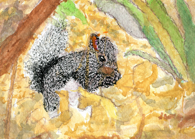 Squirrel in autumn leaves