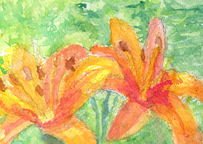 Daylily