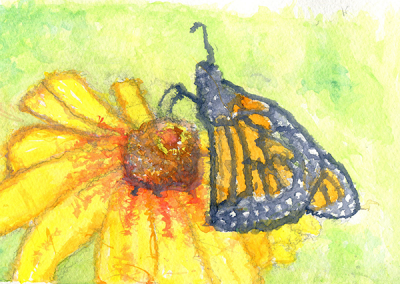 black-eyed susan & monarch butterfly #10