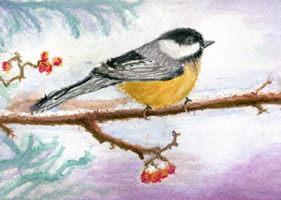 Winter Chickadee