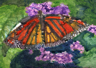 Monarch Butterfly on lilacs