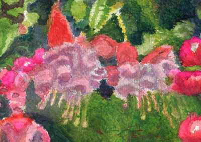 Fuchsia flower