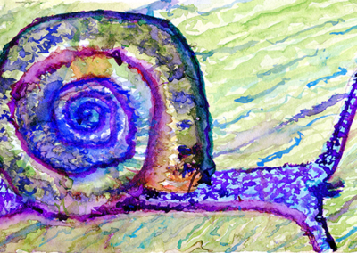 boggomoss snail