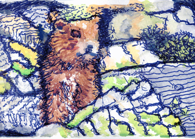 Vancouver Marmot