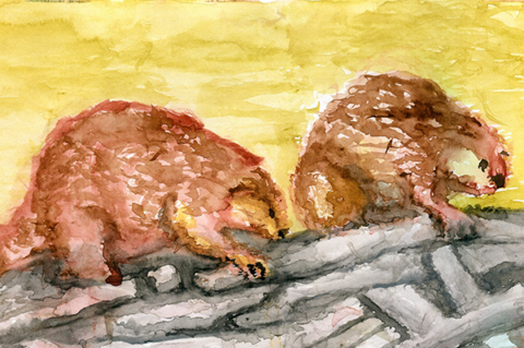 two beavers » Journey Dancing